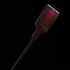 「Flapping」 Handmade Color-changing BDSM Impact Toy Paddle